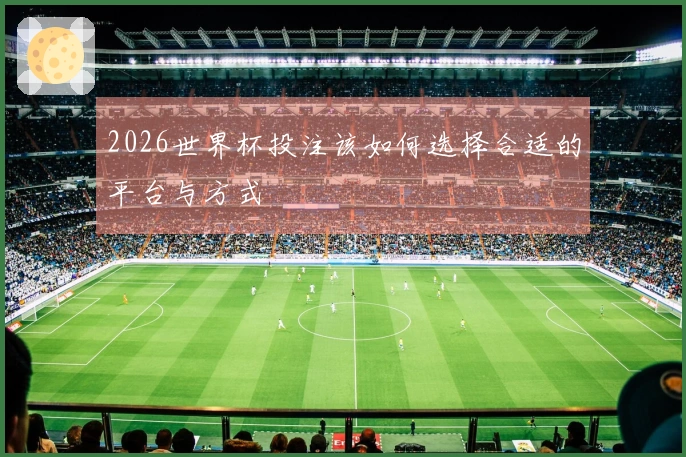 2026世界杯投注该如何选择合适的平台与方式
