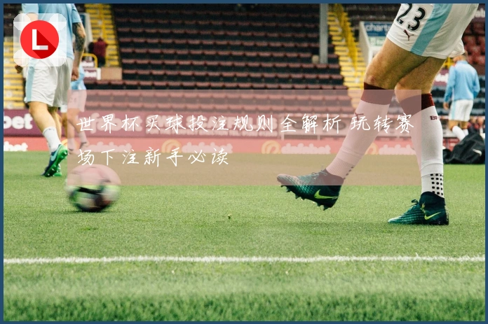 世界杯买球投注规则全解析 玩转赛场下注新手必读