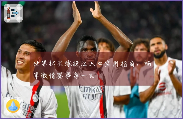 世界杯买球投注入口实用指南,畅享激情赛事每一刻