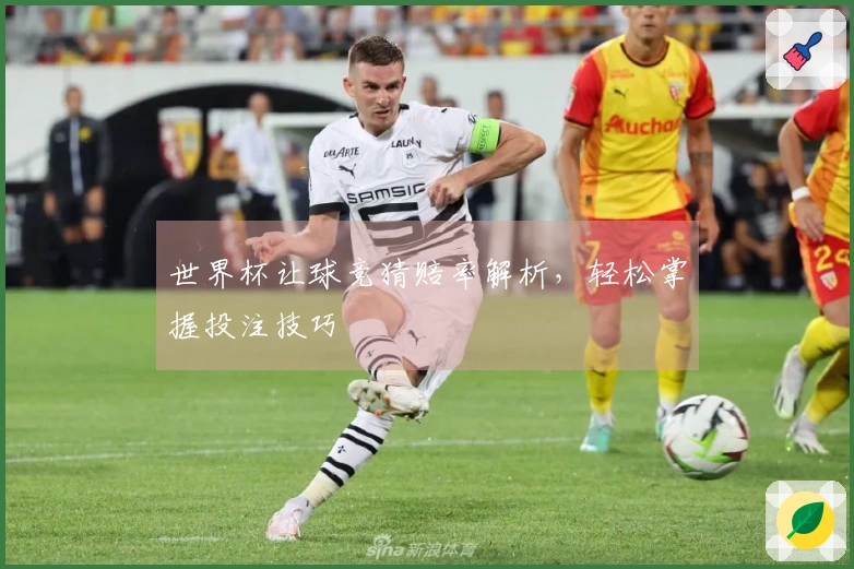 世界杯让球竞猜赔率解析，轻松掌握投注技巧