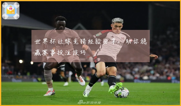 世界杯让球竞猜经验分享，助你稳赢赛事投注技巧