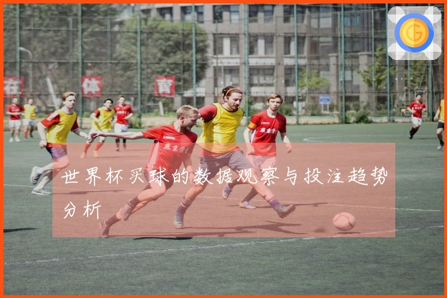 世界杯买球的数据观察与投注趋势分析