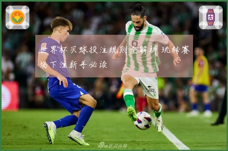 世界杯买球投注规则全解析 玩转赛场下注新手必读