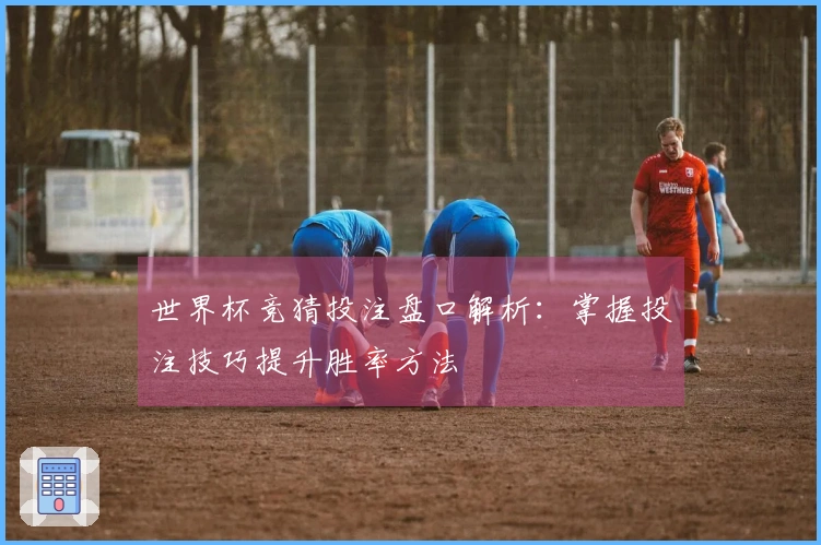 世界杯竞猜投注盘口解析：掌握投注技巧提升胜率方法